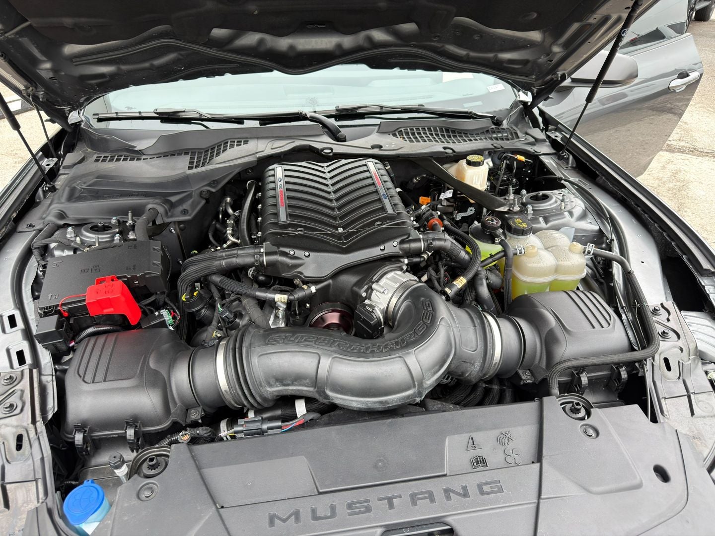 2024 Ford Mustang Dark Horse