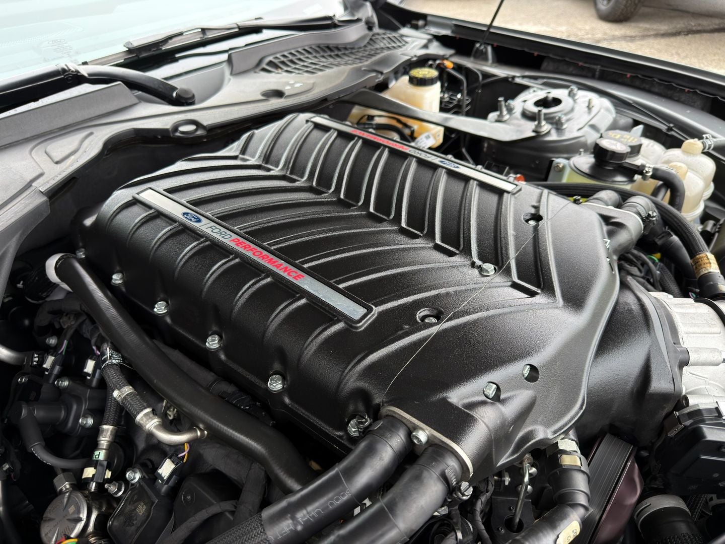 2024 Ford Mustang Dark Horse