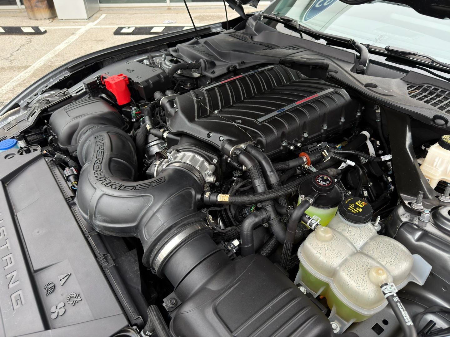 2024 Ford Mustang Dark Horse