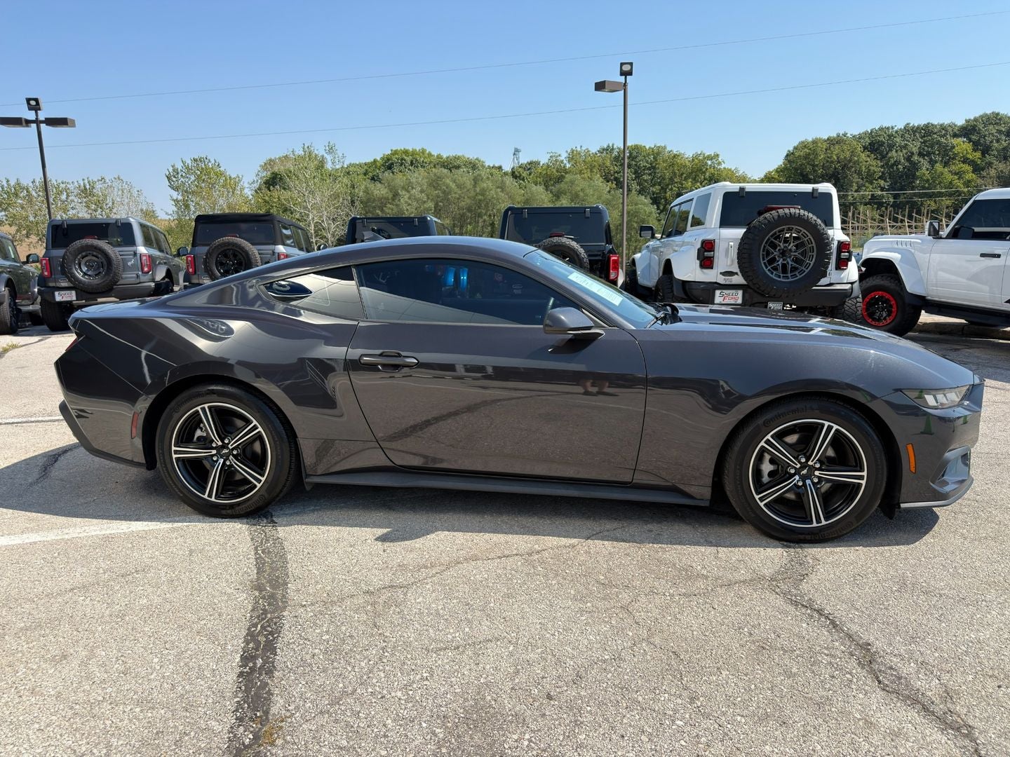 2024 Ford Mustang EcoBoost