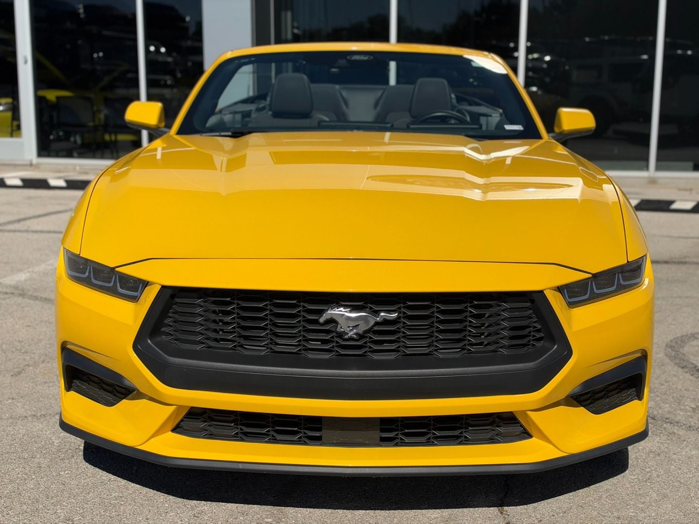 Used 2024 Ford Mustang EcoBoost with VIN 1FAGP8UHXR5118068 for sale in Kansas City