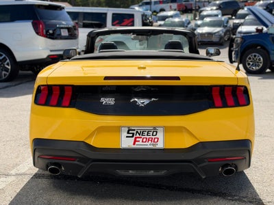 2024 Ford Mustang EcoBoost