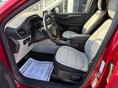 2026 Ford Escape Active®