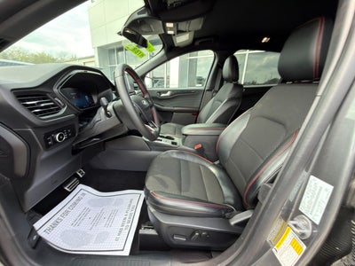 2024 Ford Escape ST-Line Select
