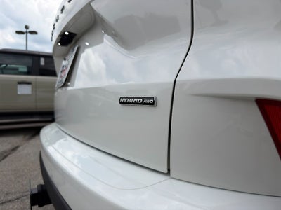 2024 Ford Escape ST-Line Elite