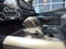 2021 Ford F-150 XLT 4X4 Powerboost Hybrid V6