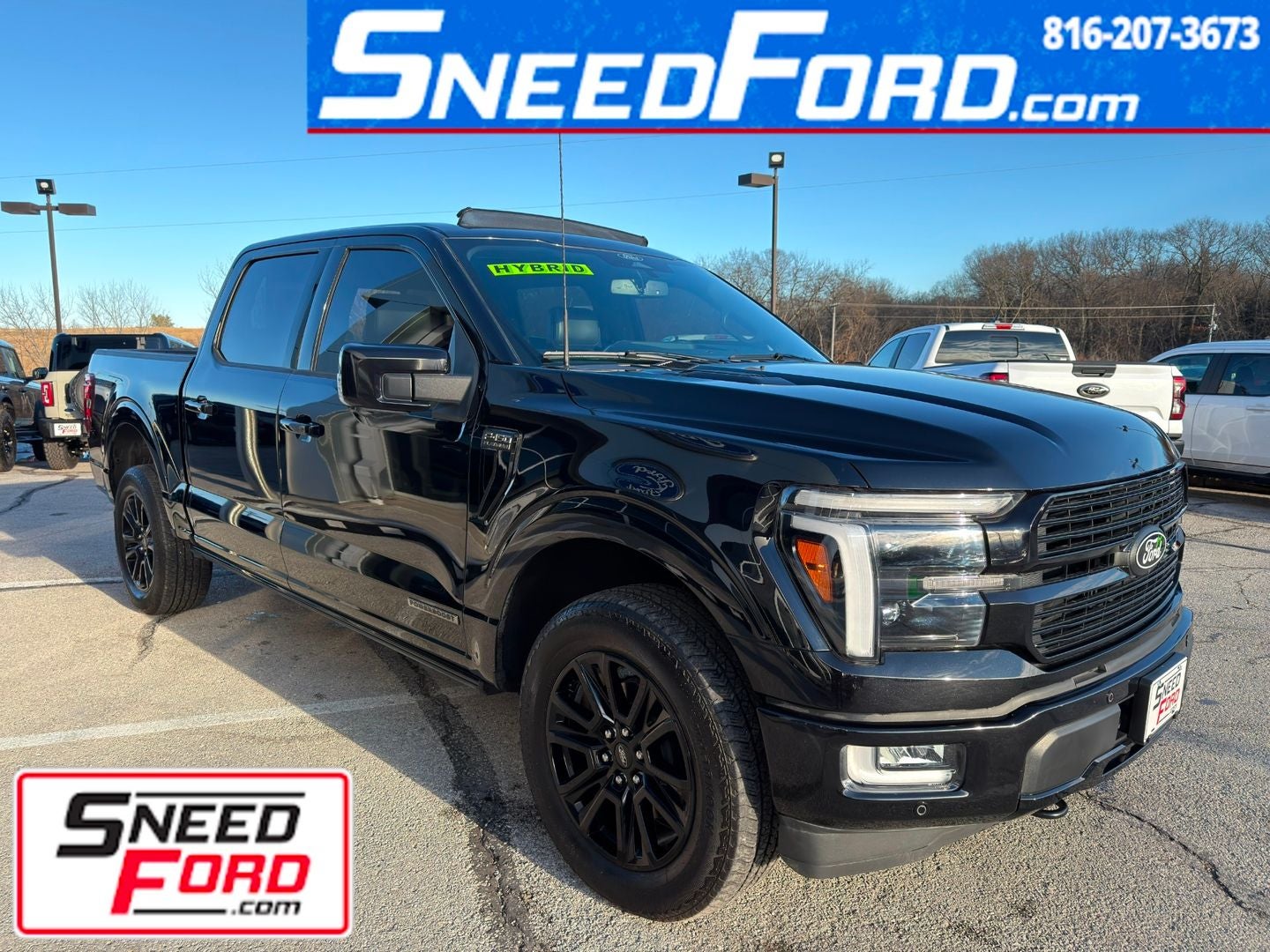 2024 Ford F-150 Platinum