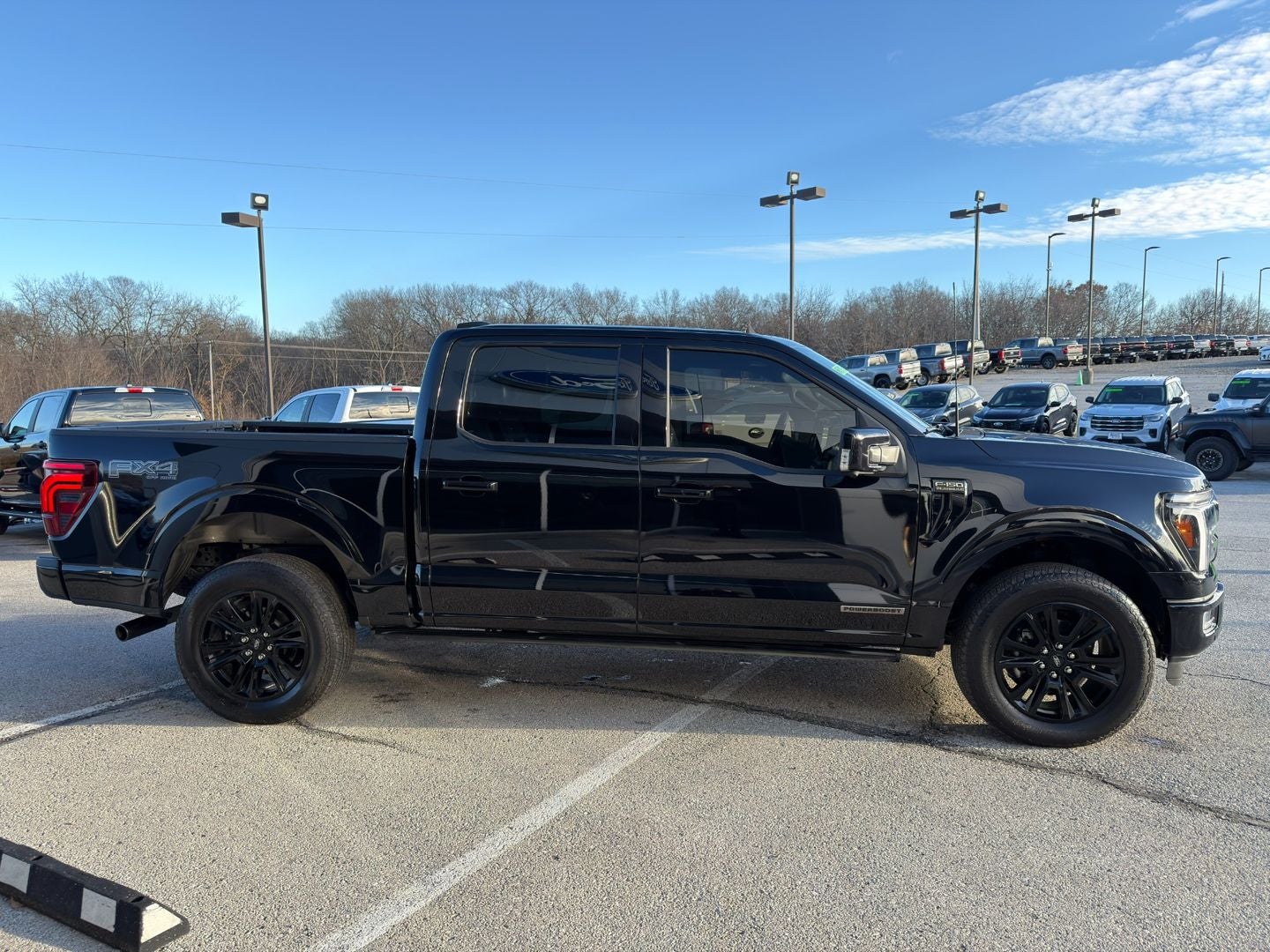 2024 Ford F-150 Platinum