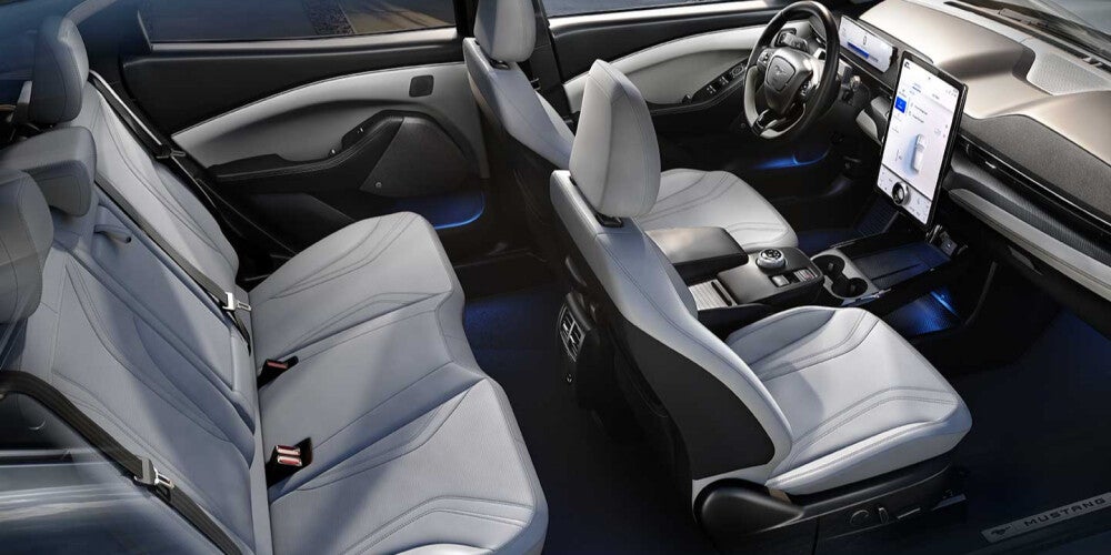 Electric Vehicle Interior