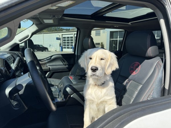 Dennis Sneed Ford in Gower MO